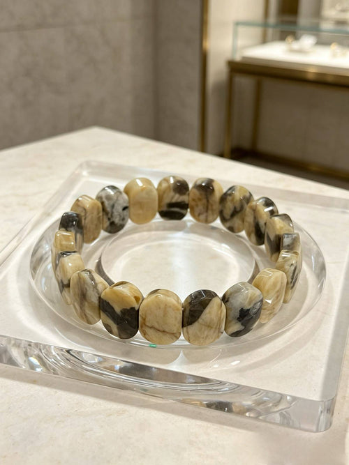 Ancient Memory Petrified Wood (Fossil Wood)